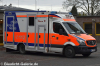 RTW - NE-TT4834 RTW - NE-TT4834
